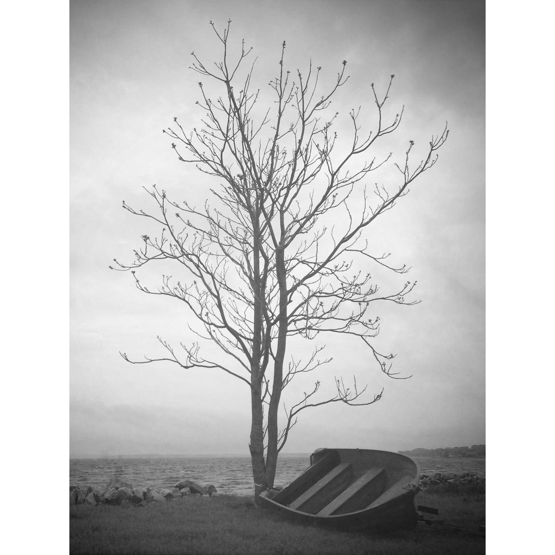 Artery8 Lone Tree Silhouette Greyscale Photo Premium Wall Art Canvas Print 18X24 Inch