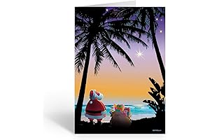 Stonehouse Collection Florida Christmas Cards Boxed Set with Envelopes (18)