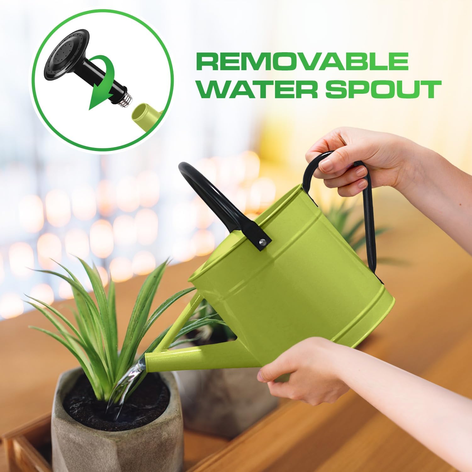 Plexon 1 Gallon Metal Watering Can Outdoor, Flower Plant Gardening Garden Large Green Watering Can Pot, Galvanized Steel Handles - Removable Spray Spout, Green
