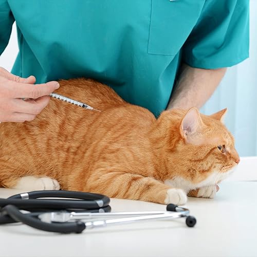 Miniatura 7 de 29G 1cc 12" Jeringa con aguja - Paquete individual desechable - 100 unidades