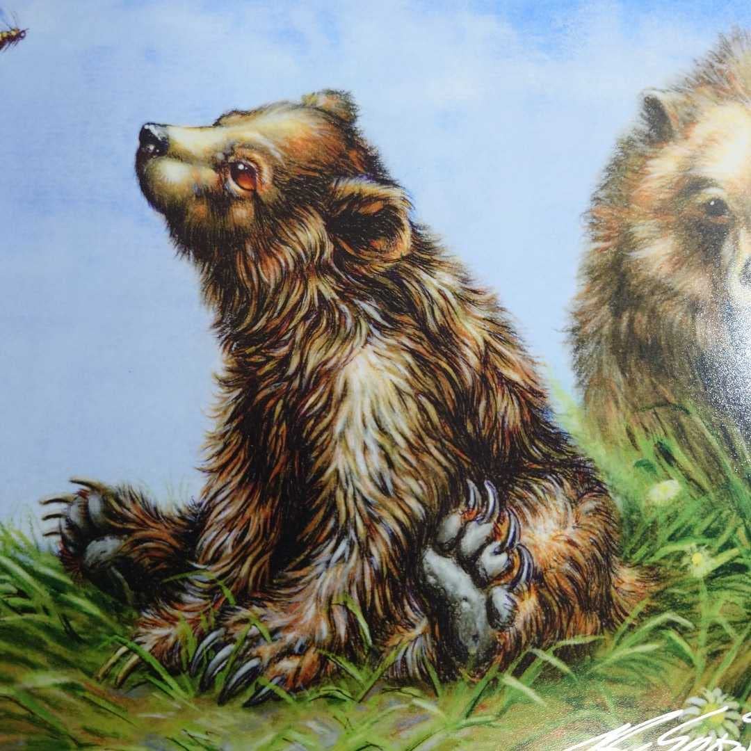 Amazon.co.jp: MTG Signed Ron Spencer Art Print/Reproduction