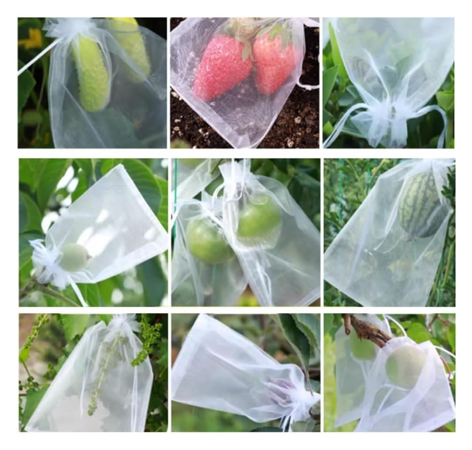 50 stücke Obst Barriere Tasche,Obstschutzbeutel