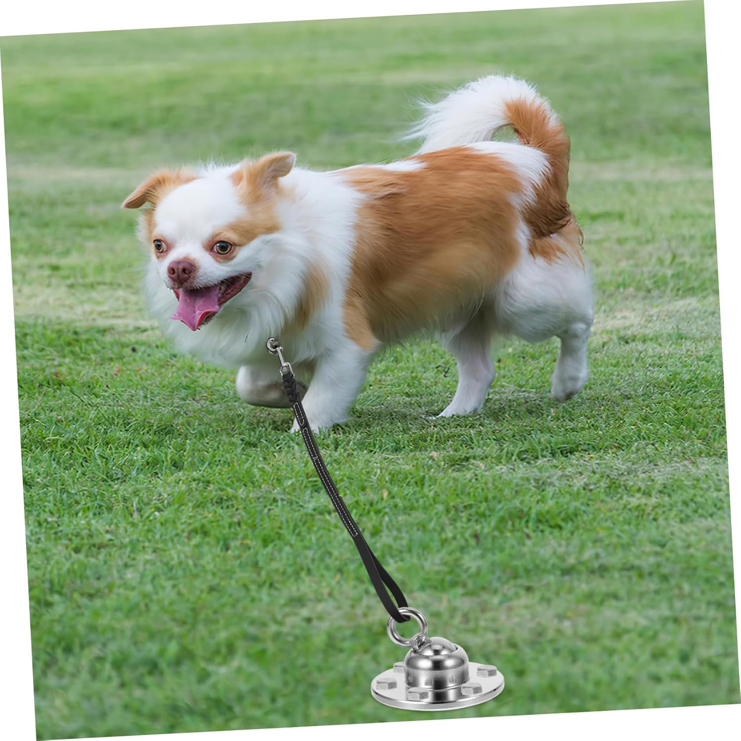 Heavy Duty Dog Tie Out Stake Set 360° Rotating Rust-Resistant Metal Ground Anchor for Large Dogs for Outdoor Use Leash Attachment