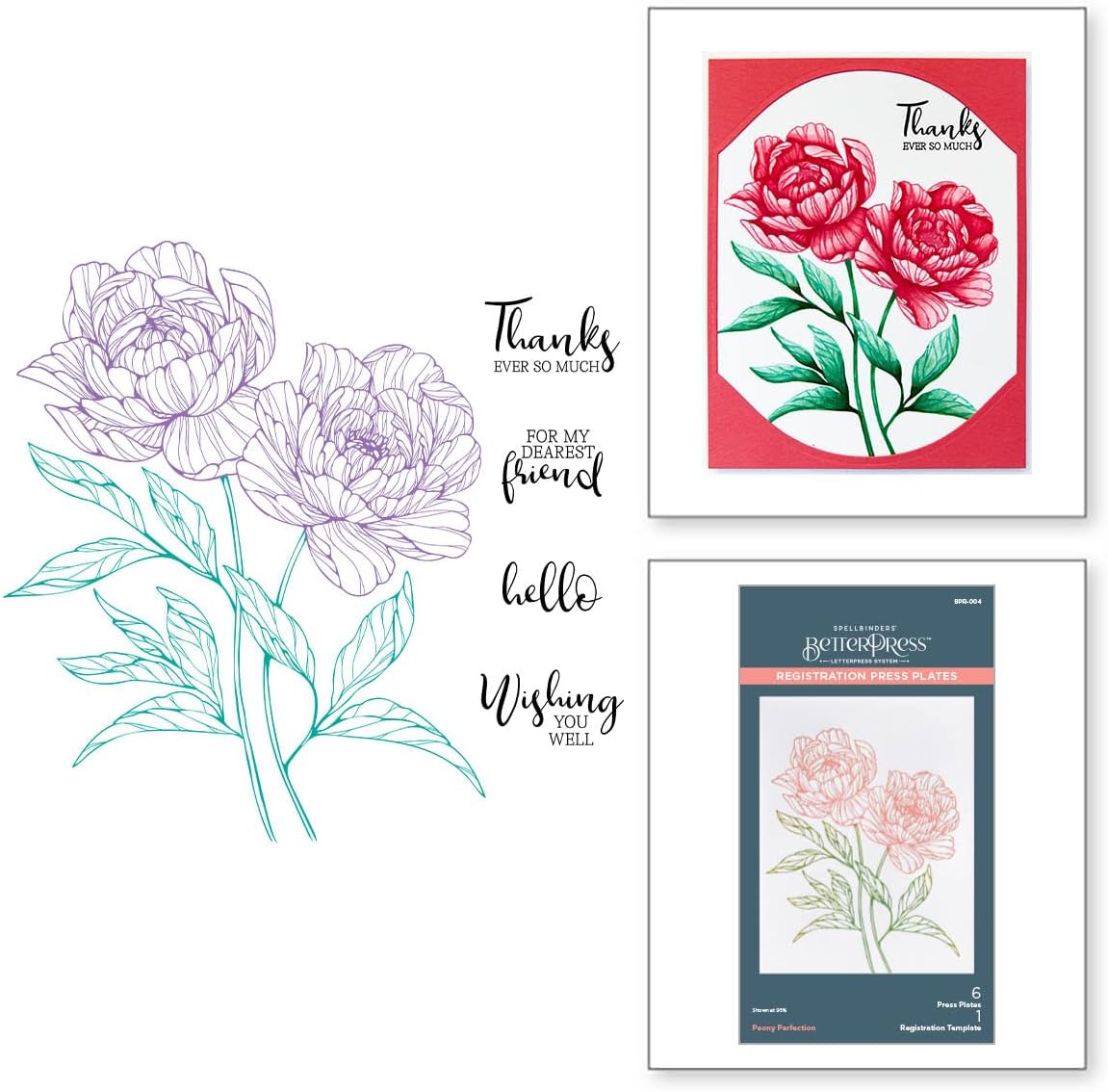 Spellbinders BPR-004 Peony Perfection Registration Press Plates from The Cheers to You Collection