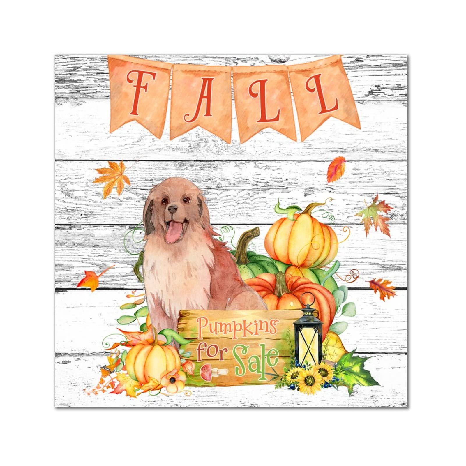 Plaque murale citrouille planche en bois déco automne Husky 35cm