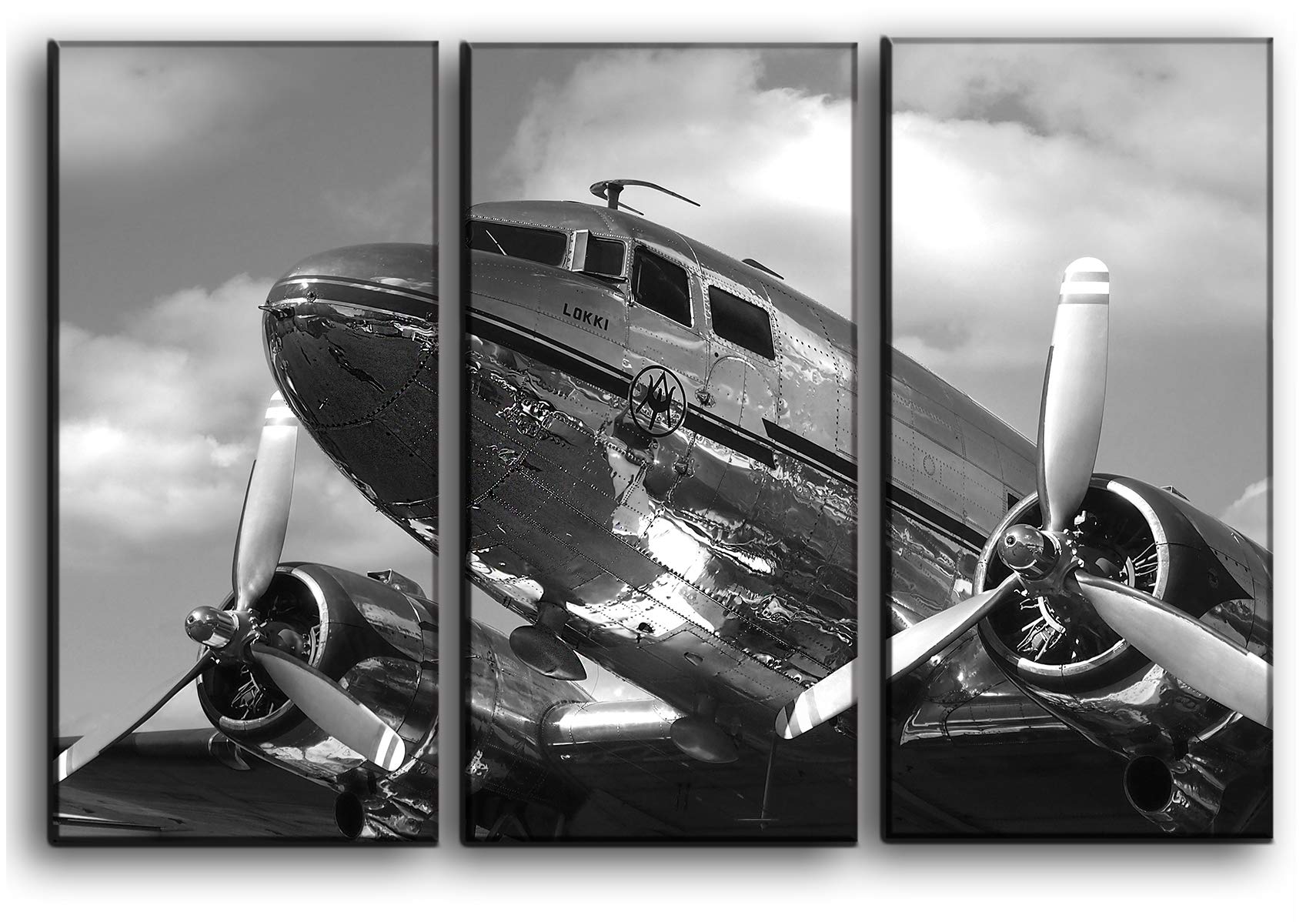 3 Panel Wall Art Canvas Decor For You