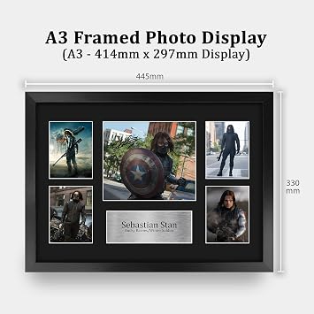 HWC Trading Sebastian Stan Bucky Barnes 16 x 12 inch (A3) Printed Gifts Signed Autograph Picture for Movie Memorabilia Fans - 16 x 12 Framed