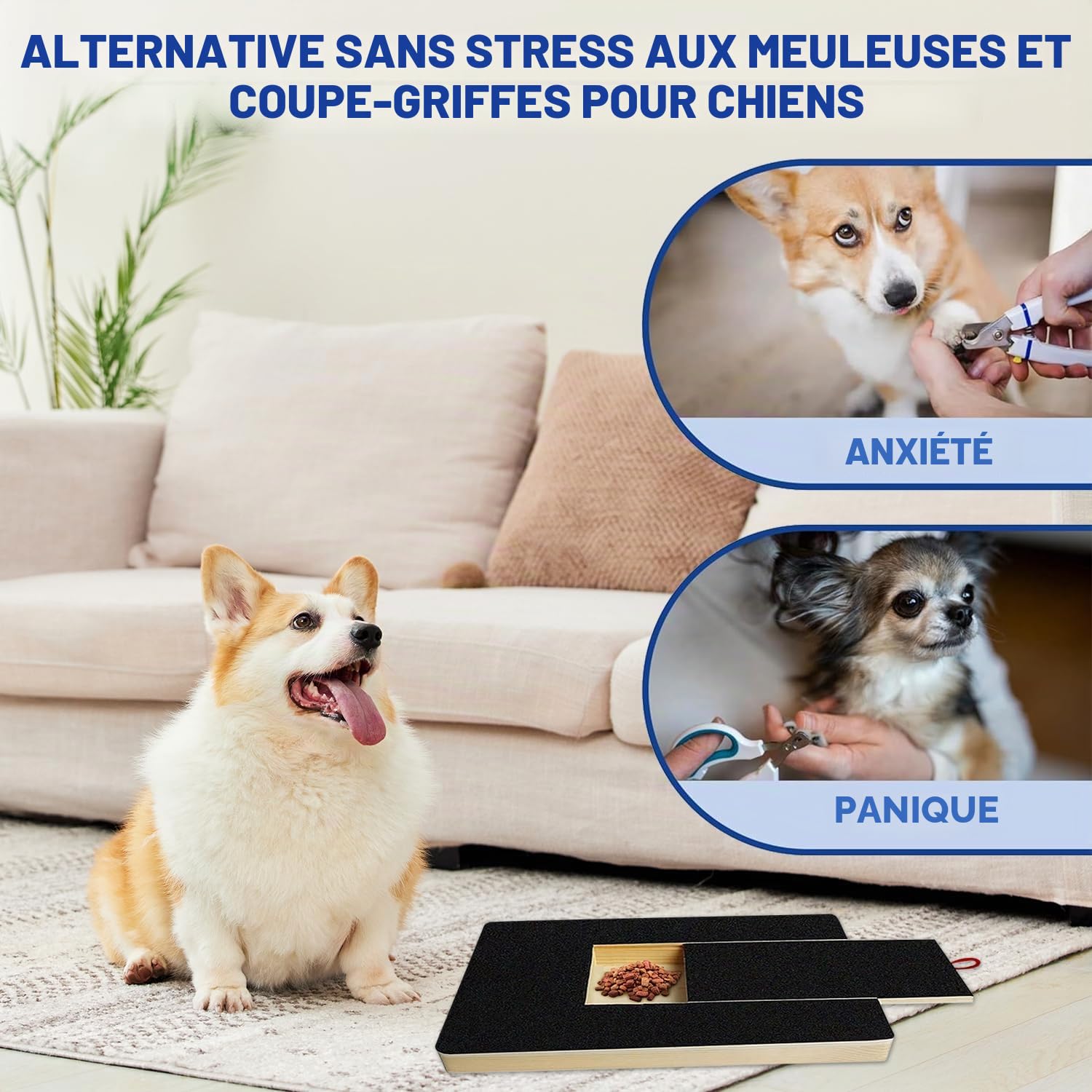 Planche à gratter pour Les Ongles avec boîte à goûter, Tableau à griffer pour Chien avec 2 Feuilles de Papier de Verre de Rechange, Bloc à gratter Alternatif
