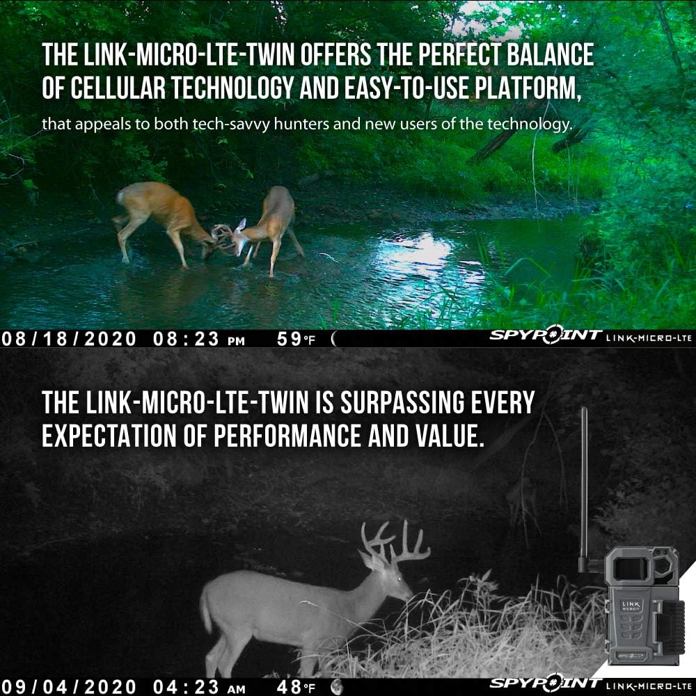 Two sample images from a trail camera, one day and one night, showing deer.