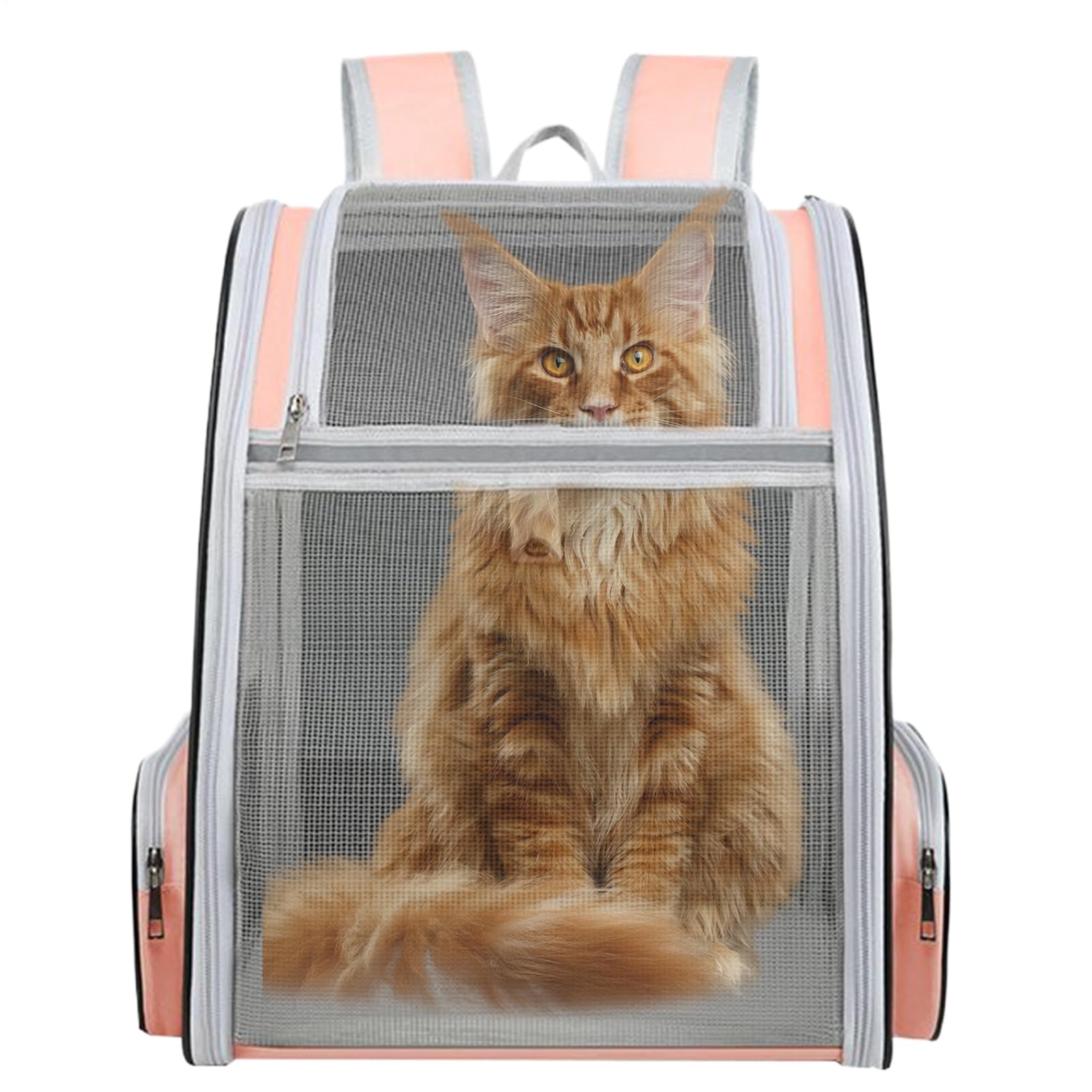 Mochila cat carrier transpirable ideal para picnic y acampar con tu mascota
