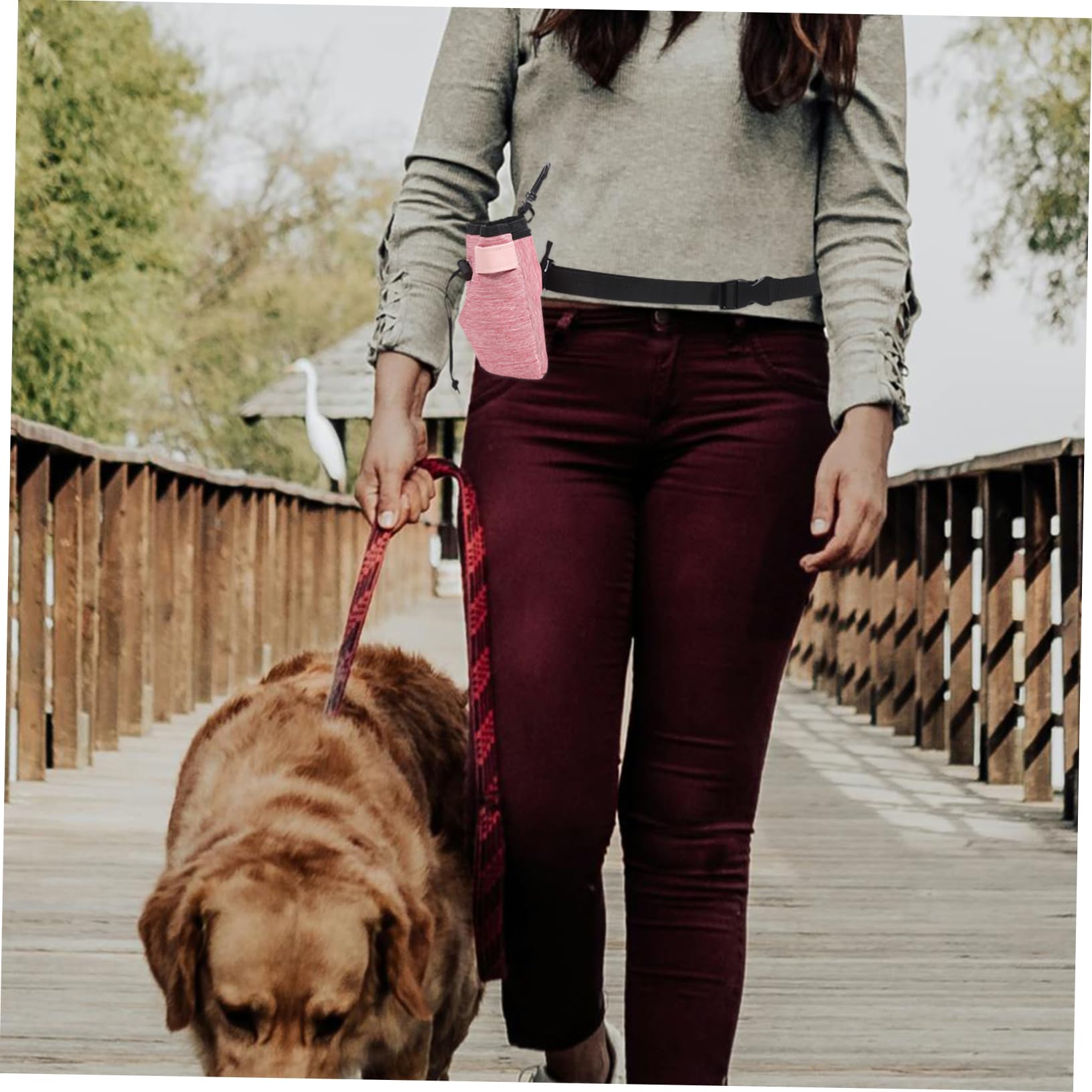 INOOMP 5piezas Bolsa De Entrenamiento para Perros Capacidad De Snacks Bolsa y Portátil para Paseos y Adiestramiento De Mascotas Accesorios para Dueños De Mascotas