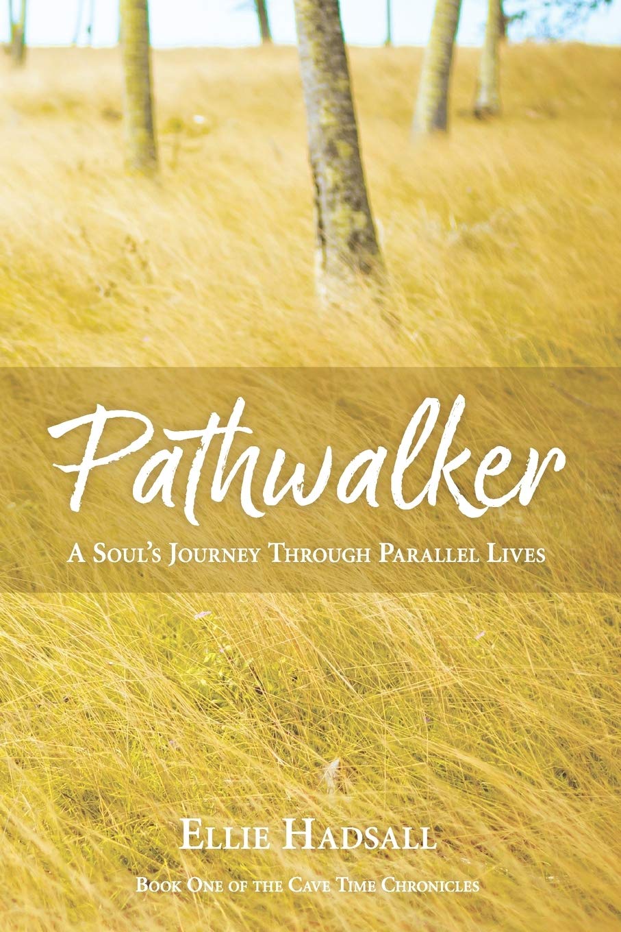 Pathwalker: A Soul's Journey Through Parallel Lives (Cave Time Chronicles)