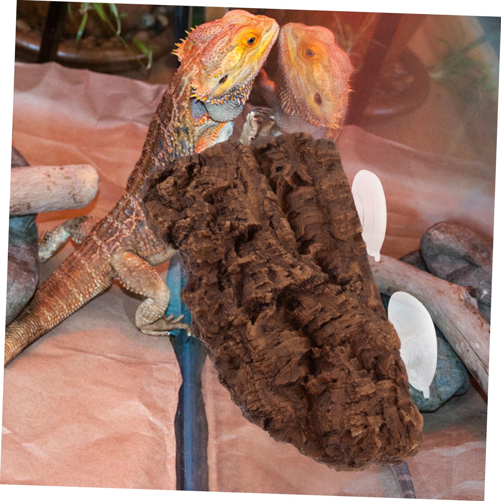Happyyami Plataforma de Resina para Tortugas, Rampa para Bañarse para Terrario, Adorno de Acuario para Reptiles