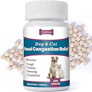 Nasacort Allergy 24HR - product image