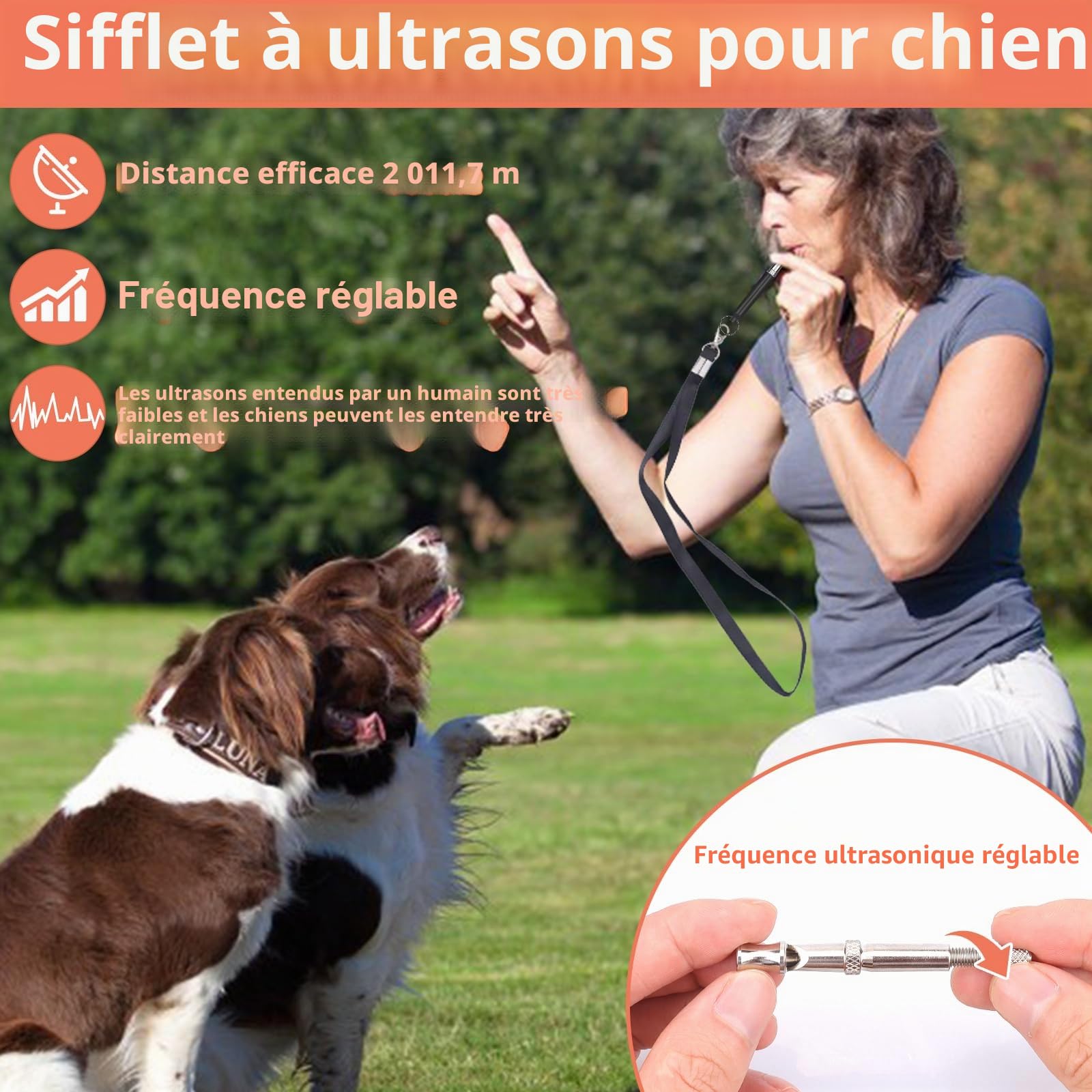 Kit de dressage pour chien – Pochette à friandises pour chien, sac banane de dressage pour animaux de compagnie, clic-clic, sifflet à ultrasons silencieux pour chien, sac à déjections canines (noir)