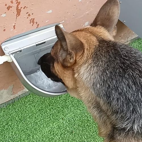 Miniatura 6 de Riego automático de acero inoxidable para ganado de granja, mascotas, riego automático para perros, ganado, caballo, válvula flotadora, oveja cabra