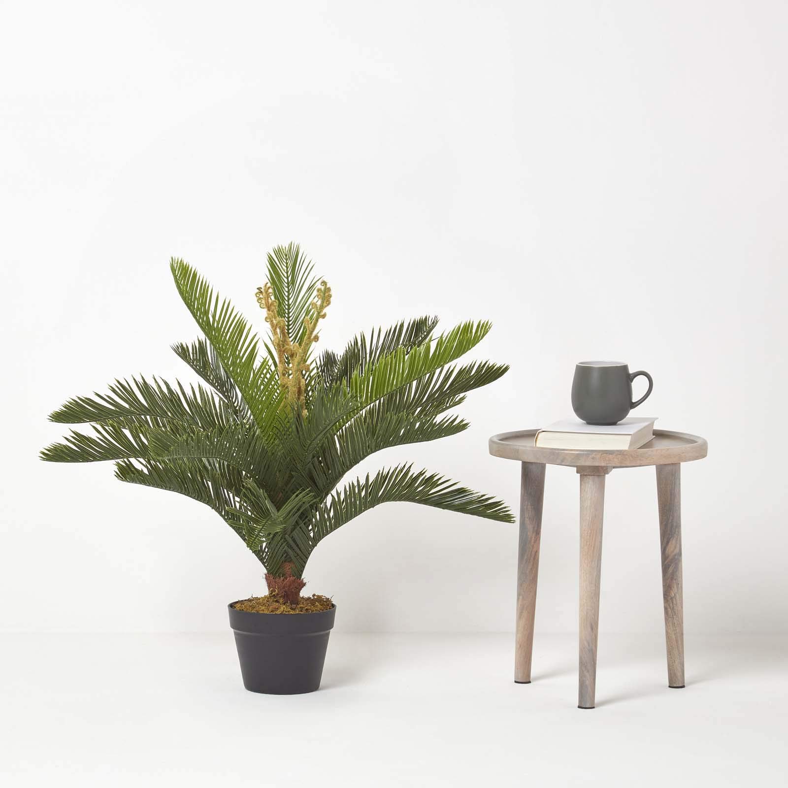 Homescapes, pianta artificiale “Cycas revoluta” con vaso nero, 75 cm