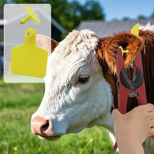 Miniatura 3 de 100 etiquetas de oído de ganado en blanco con alicates, TPU en blanco de identificación de animales, etiquetas de oído para ganado, vaca, caballo,
