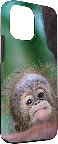 Miniatura 3 de Funda para iPhone 13 Pro Max