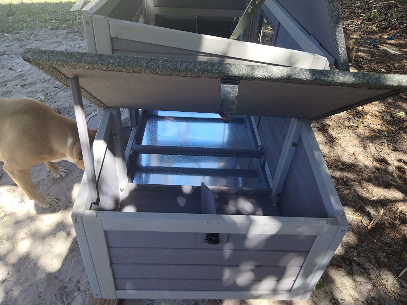 8/mo Finance Chicken Wire Fencing for Chicken Coop Chicken Mesh Keep The Predators Outside