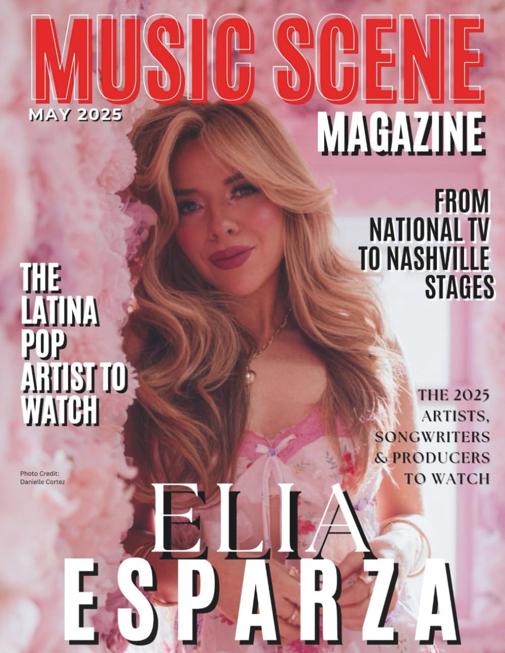 Nashville's Music Scene guide complet histoire musique