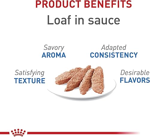 Miniatura 2 de Royal Canin Feline Weight Care Loaf in Sauce Alimento húmedo enlatado para gatos adultos, lata de 5.1 onzas (24 unidades)