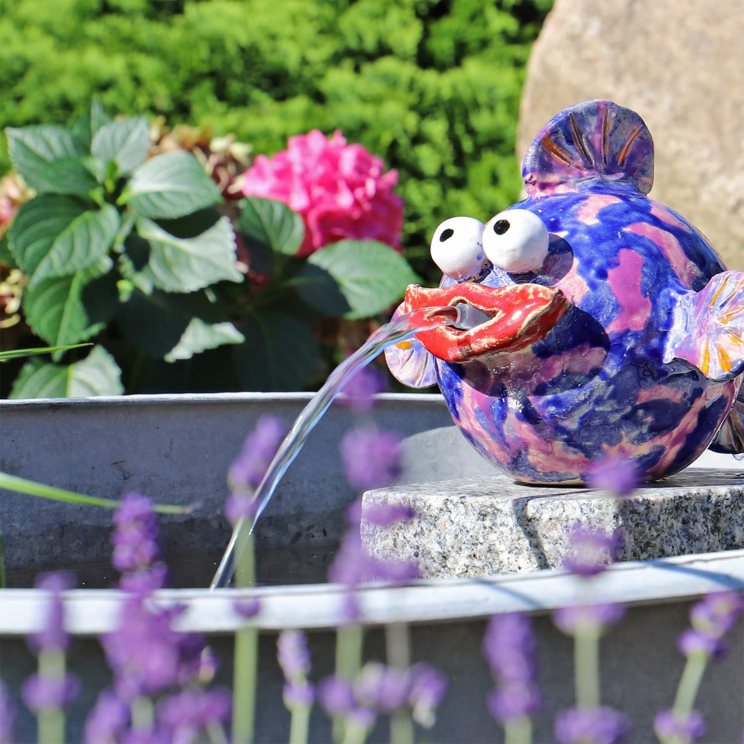 CLGarden kleine Springbrunnenpumpe NSP1E für Wasserspeier Miniteich Wasserspiel Pumpe 12V mit Netzbetrieb Springbrunnen Solarbrunnen