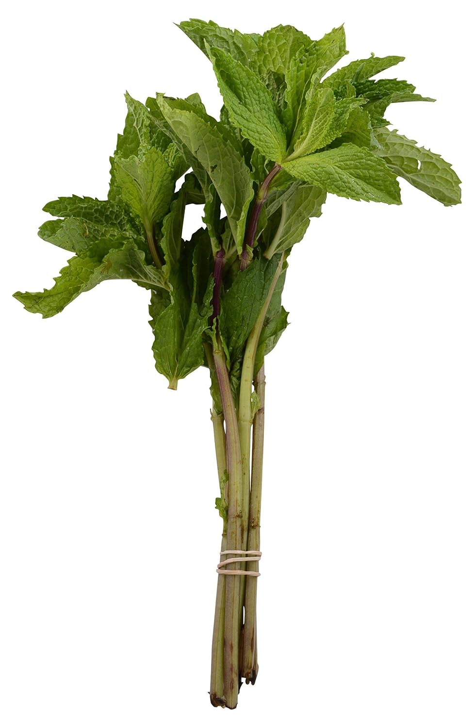 Herb Mint Bunch Organic, 1 Bunch