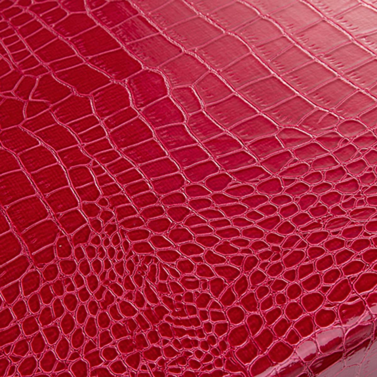 Ciieeo 2 Pezzi Borsa per CD e Dvd in Pu Cerniera, capacità, Resistente all’Usura, Stile alla Moda, Colore Rosso, Adatta per Casa e Auto