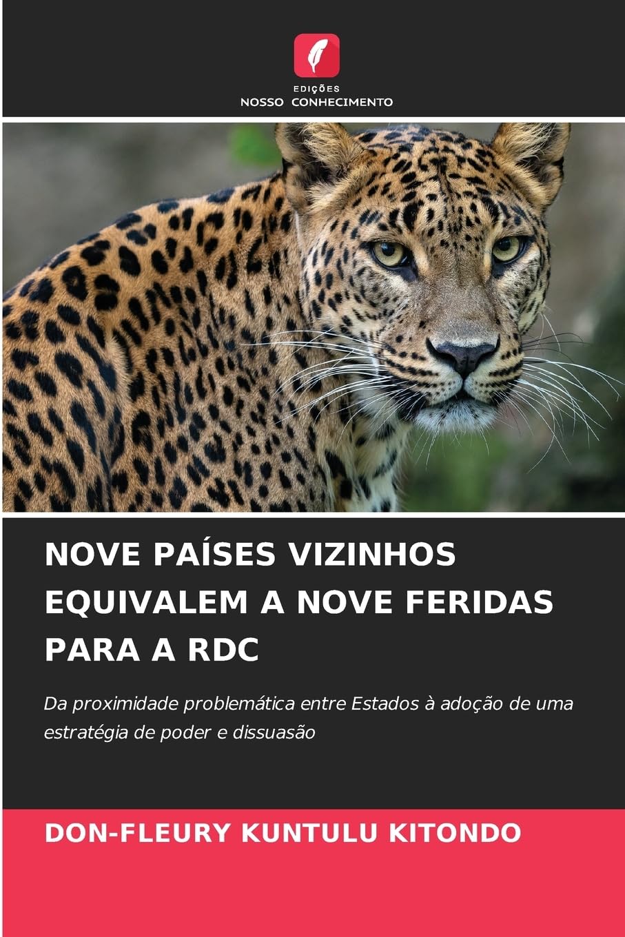 NOVE PAÍSES VIZINHOS EQUIVALEM A NOVE FERIDAS PARA A RDC: Da proximidade problemática entre Estados à adoção de uma estratégia de poder e dissuasão