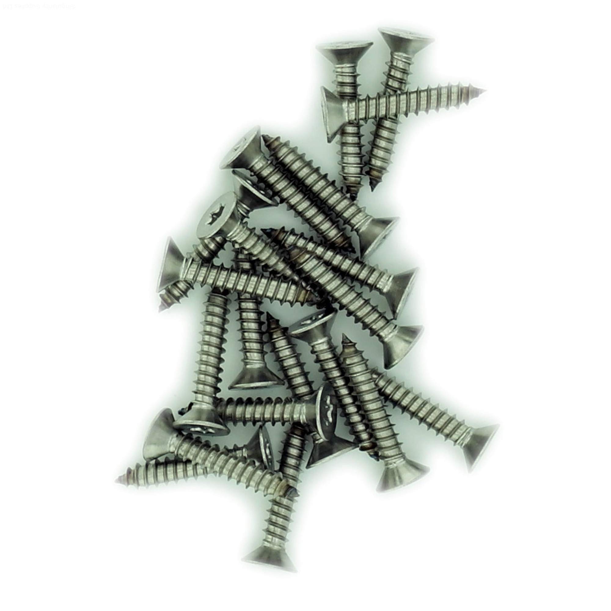Singularity Supplies No.12 X 2.175 (5.5Mm X 55Mm) Tx Countersunk Self-Tapping Screw - Stainless Steel (A2) (Pack Of 20)