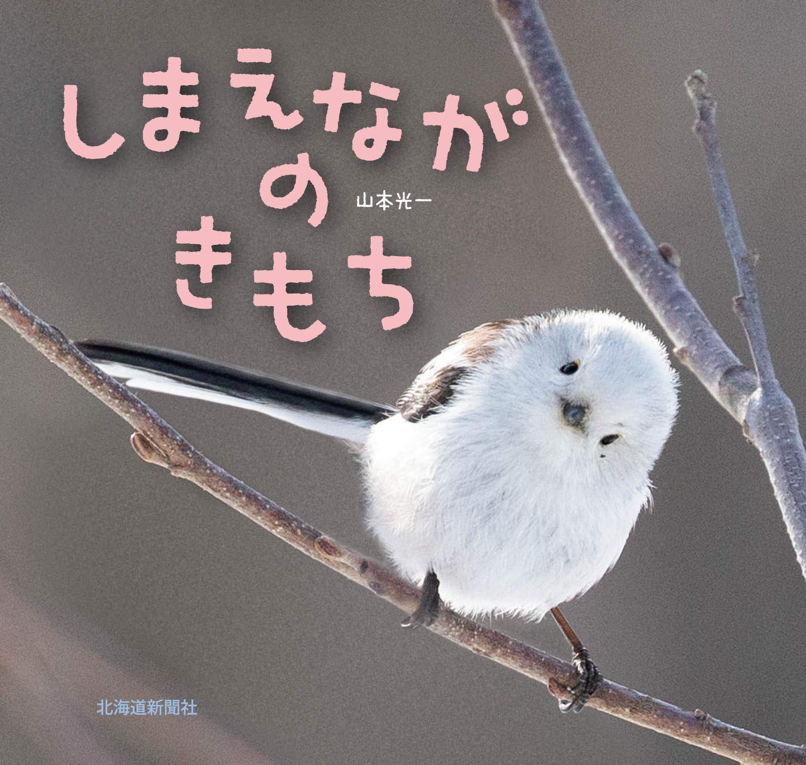 しまえながのきもち | 山本光一 |本 | 通販 | Amazon