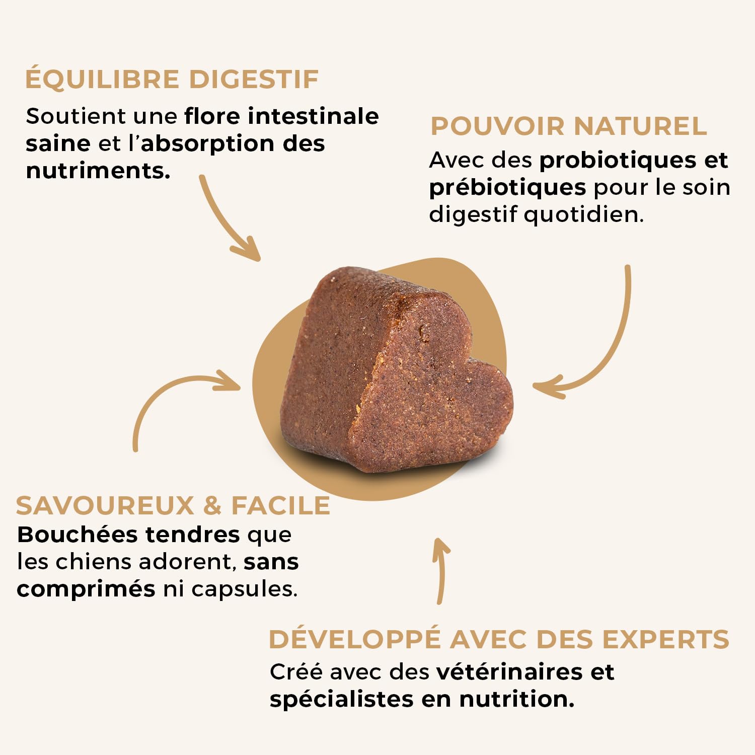 SwissVet Probiotique Chien - 60 Bouchées Flore Intestinale & Digestion - Prébiotiques (Inuline) & Bacillus Velezensis - Anti Diarrhée, Gaz & Ballonnements - Immunité & Transit Sain