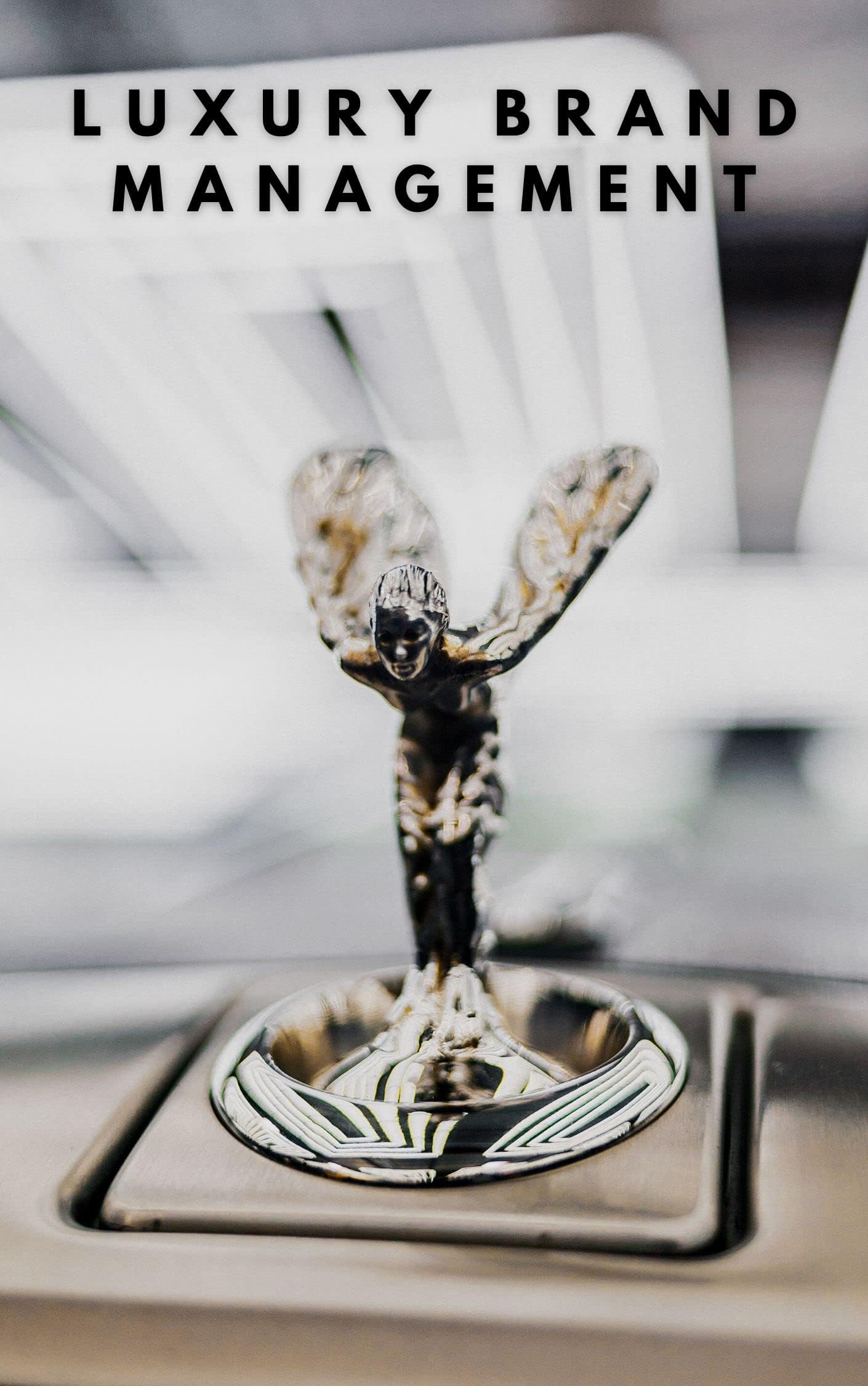 Luxury Brand Management