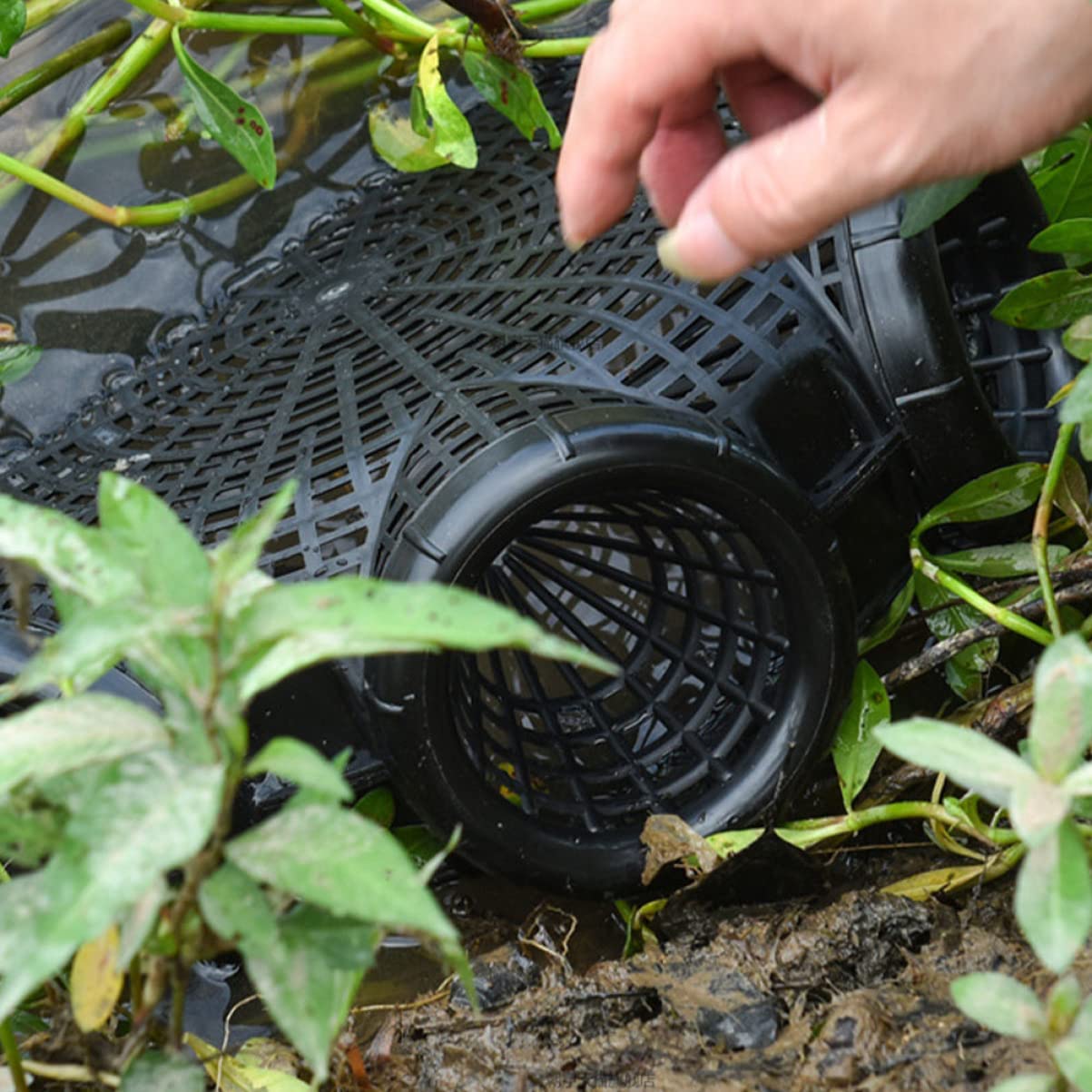 BESPORTBLE 2 Stücke Aal Fang Net Spezielle Zweck Krabben Tragbare Köder Aal Fisch Für Krabben Meeresfrüchte
