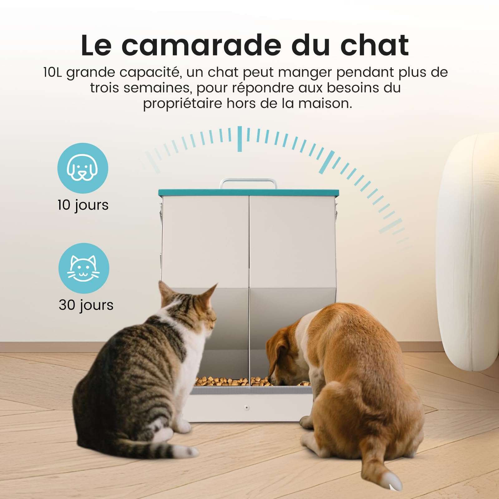 Distributeur automatique de nourriture sèche pour chats et chiens 10 l