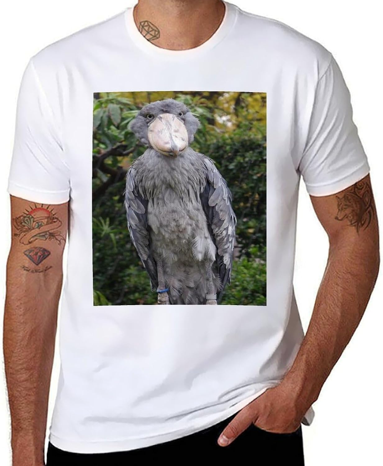 Shoebill Stork - Stork Flash Pattern (2)