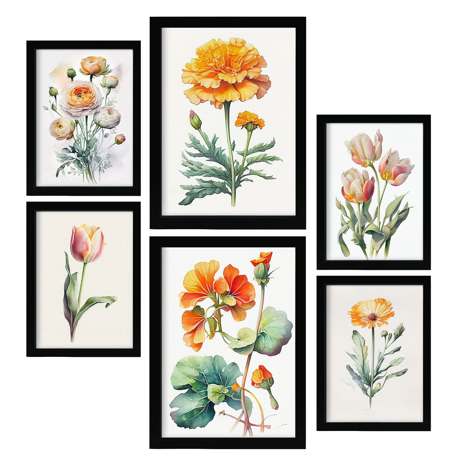Nacnic Orange Flowers Posters. Full Colour Nature and Botany Prints with Floral Themes over Pure White Backgrounds. Aesthetic Illustrations for Interior Design and Decoration. A4 & A3.