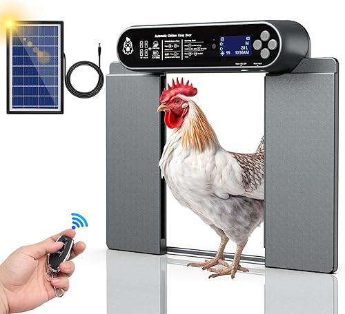 Miniatura 1 de Besimlive Abridor automático de puerta de gallinero con temporizador, pantalla LCD de puerta de gallinero y sensor de luz, puerta solar de gallinero