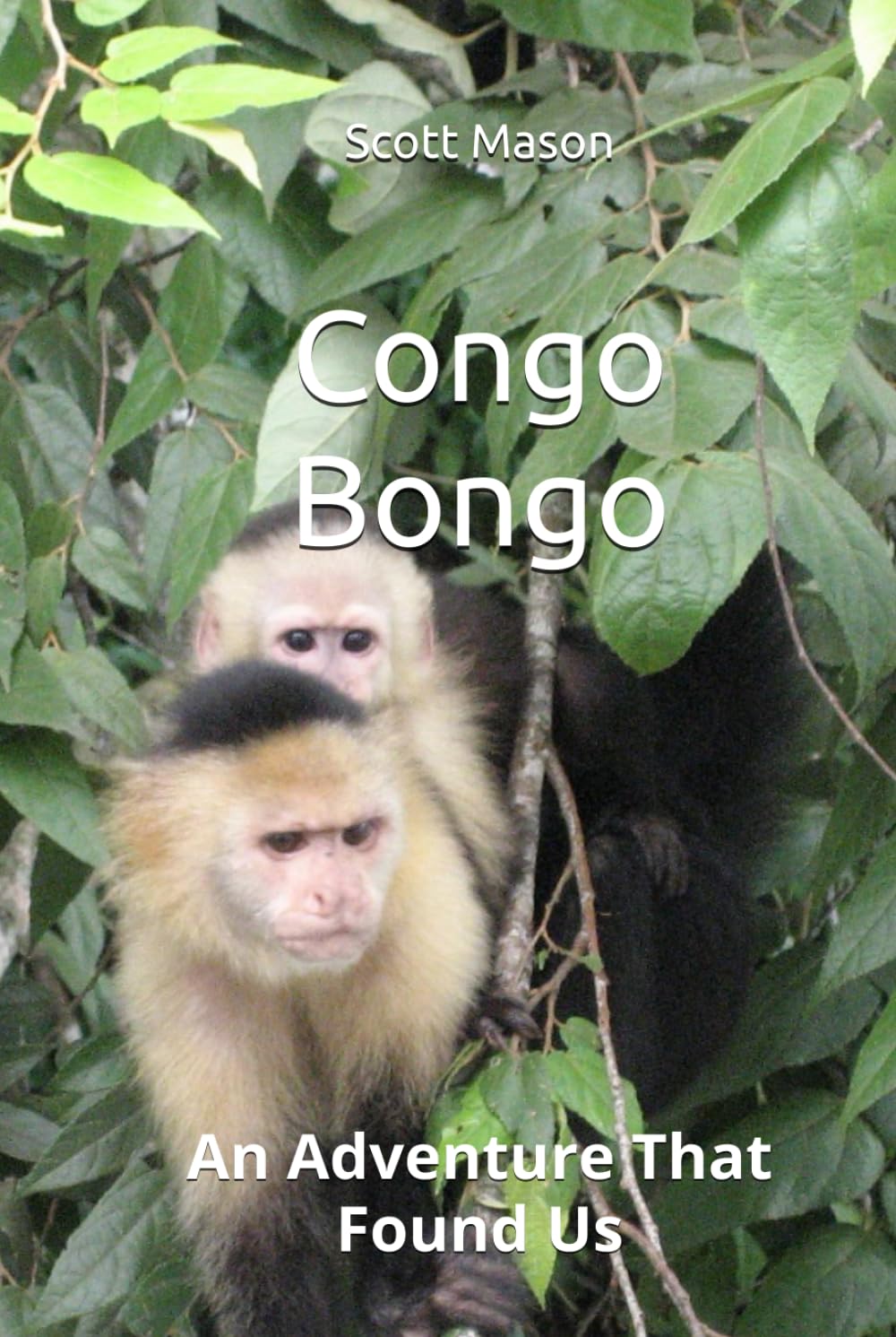 Congo Bongo:: An Adventure That Found Us