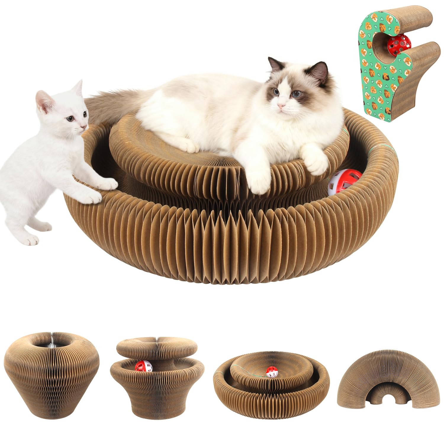 Magic Organ Tiragraffi per gatti | 2 in 1 pieghevole con campanella | Giocattolo interattivo e casetta di cartone per gatti domestici (Verde, Taglia grande)