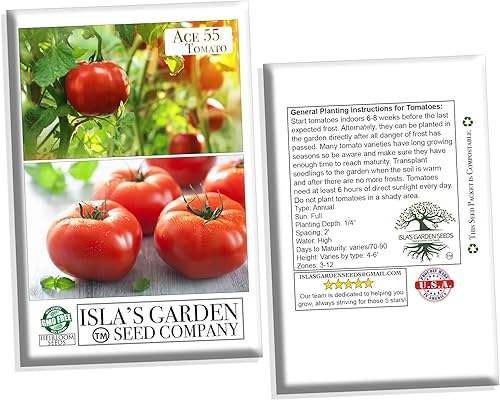 Miniatura 6 de Semillas de tomate "Ace 55" para plantar, más de 150 semillas de reliquia por paquete, semillas de jardín de Isla (semillas de jardín de Isla), sin