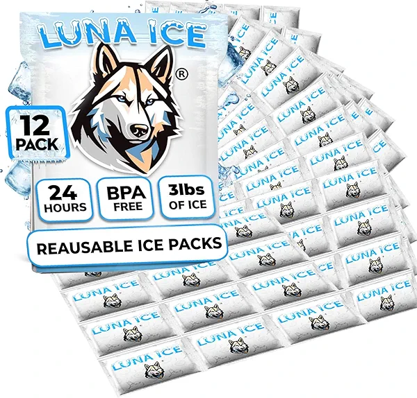 Dry Ice Packs for Shipping - Long Lasting ice Packs - 24+ Hour Freeze Power - BPA Free - 12 Pack Bulk 3 lb – Hielo Seco - Reusable Gel Bricks for Food