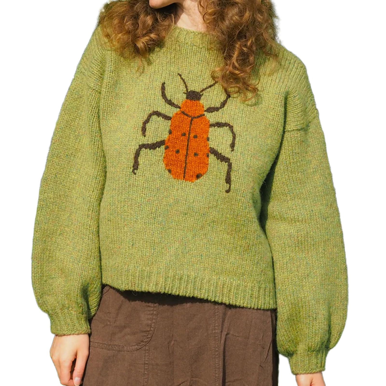 CHARTOU Women Fall Oversized Sweater Cute Insect Pattern Knit Pullover Sweater Crew Neck Short Jumper