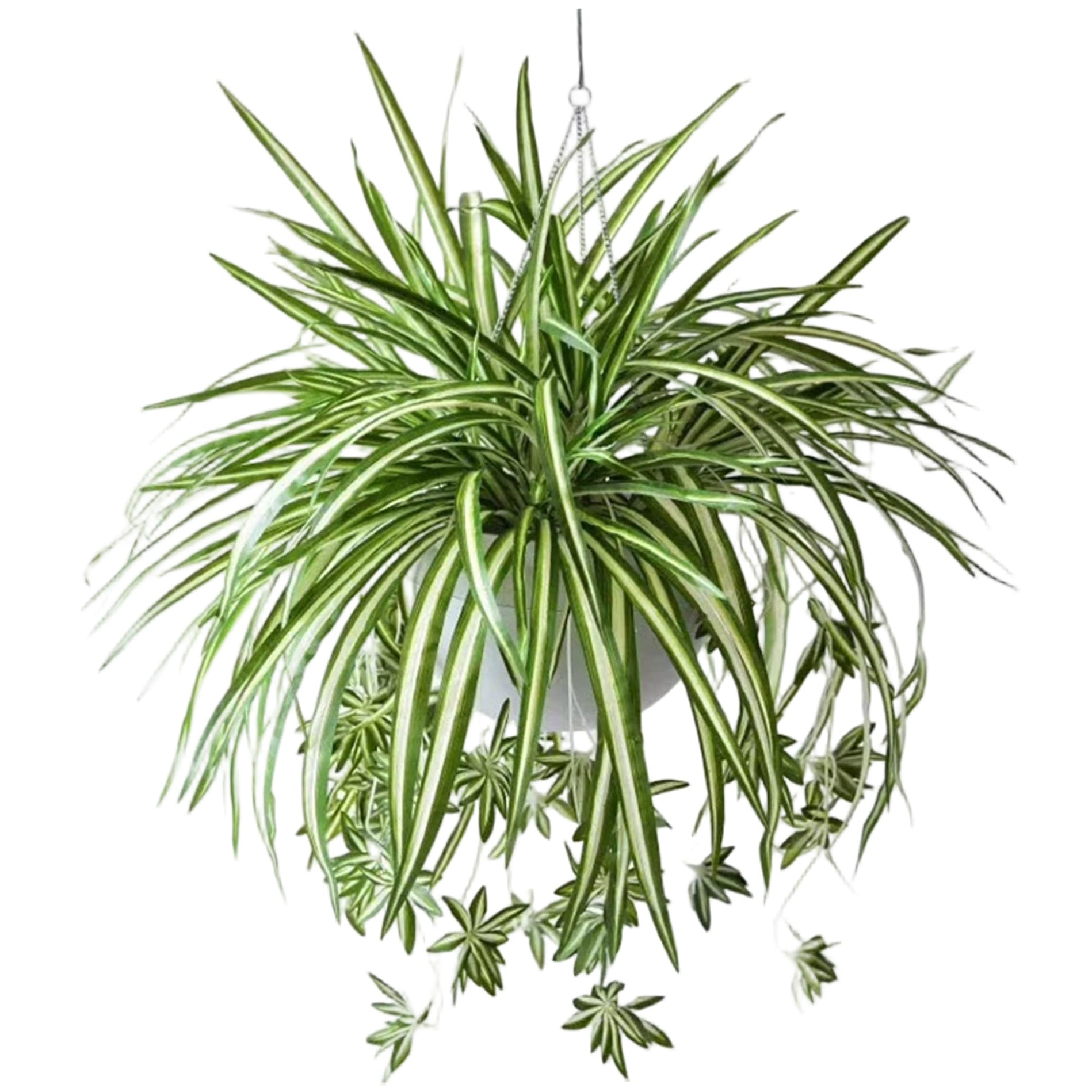 Plante araignée artificielle sans entretien pour intérieur sombre