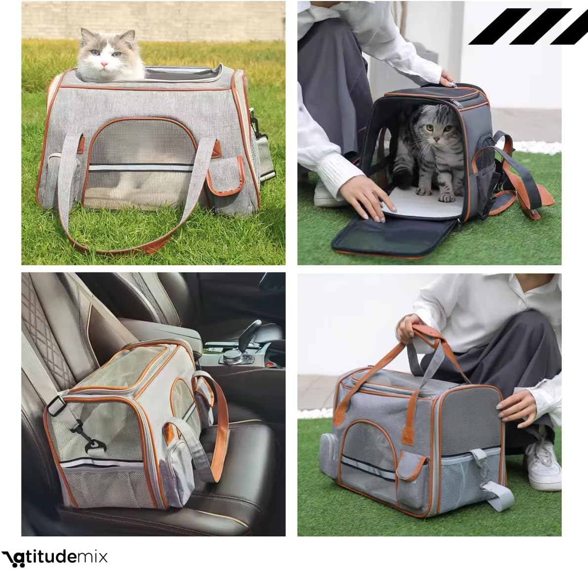 Bolsa Pet Transporte Viagem Mala Avião Luxo Cães E Gatos (preto)