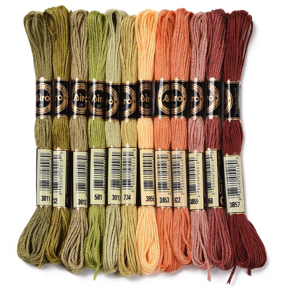 12 Skeins 105 Yards Variegated Embroidery Floss Thread for Craft