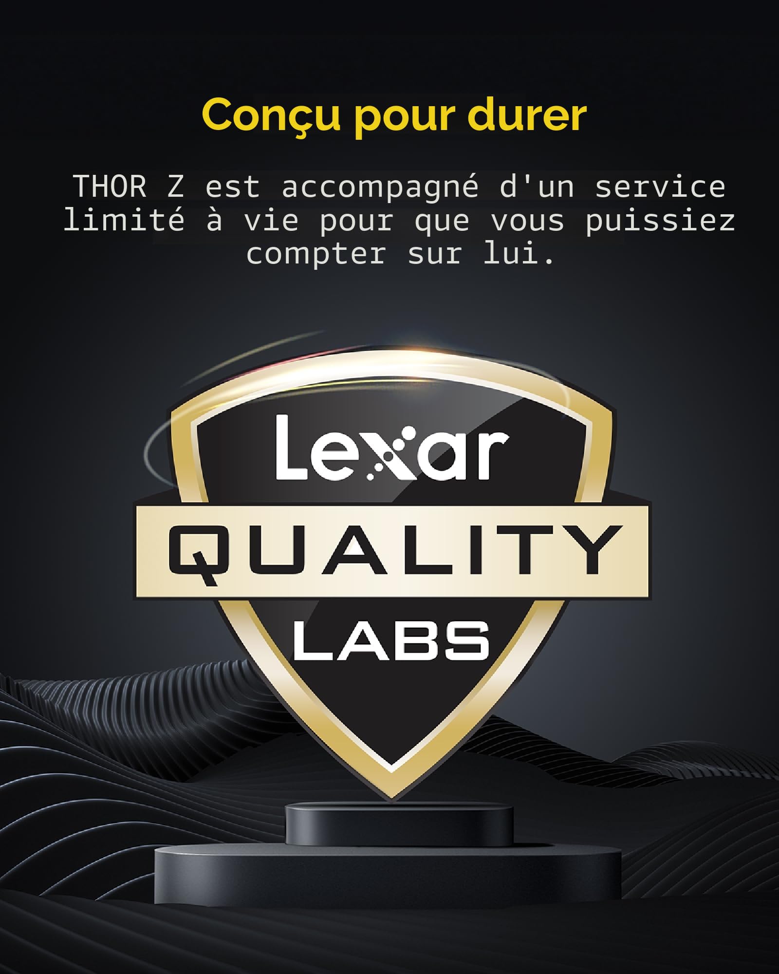 Lexar Thor Z Series OC DDR5 RAM 32Go Kit (2x16Go) 6000 MHz CL36 DRAM UDIMM 288-Pin PC Mémoire de Bureau DDR5 pour Intel XMP 3.0/AMD Expo Gaming 1.4V