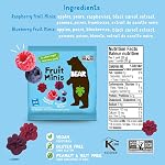BEAR Fruit Minis Blueberry & Raspberry - Real Fruit Snacks for Kids - 100% Natural Ingredients - No Added Sugar - Gluten Free - Vegan - Non-GMO - Healthy School Snack & Lunchbox Treat - 18 count