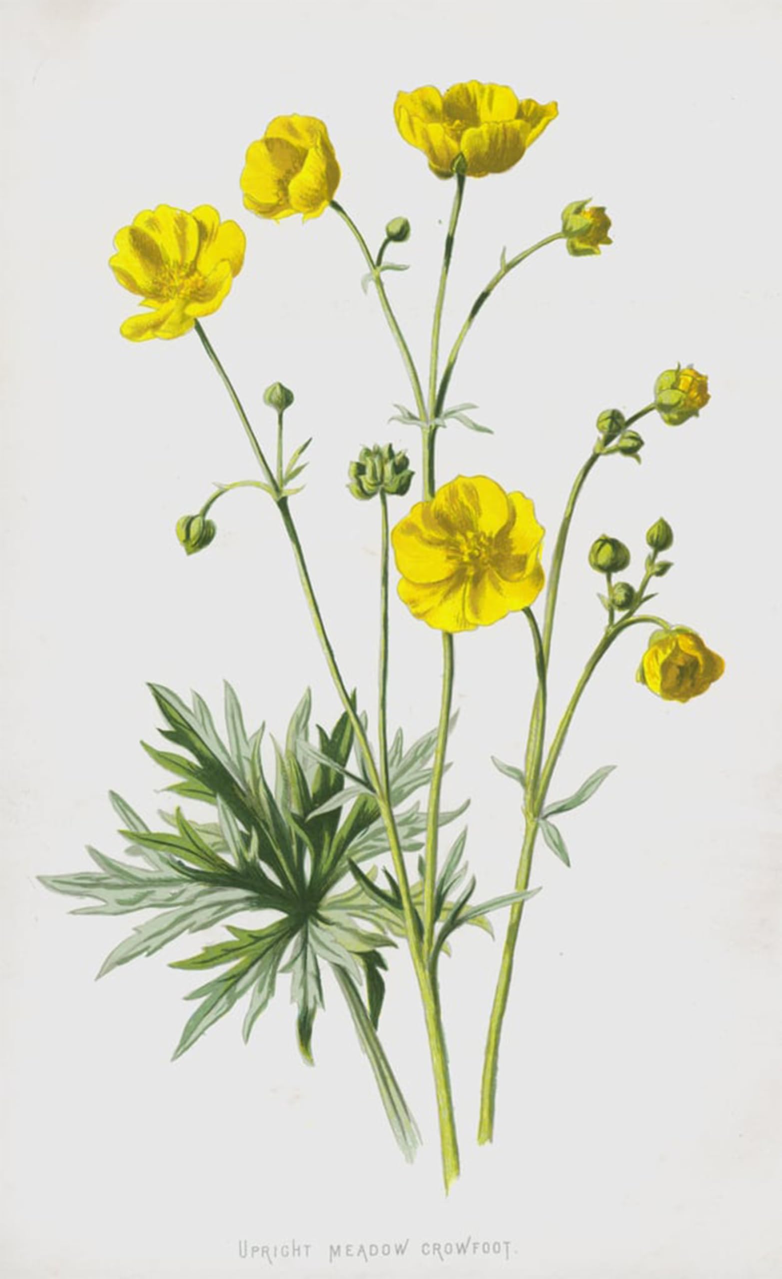 Cuadro de lienzo de pradera vertical por Frederick Hulme 60x90cm para decoraciones del hogar 5